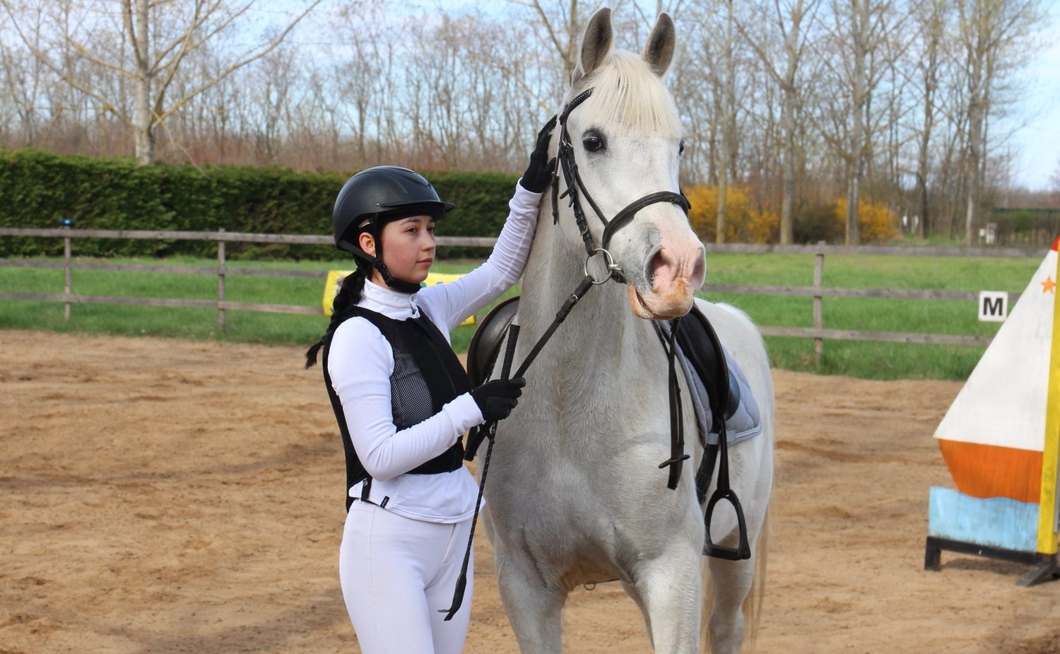 Ló és polgárőr lovasa